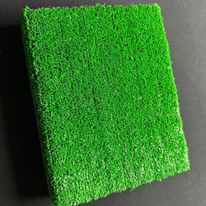 DK The Sports Book Green special edition grass